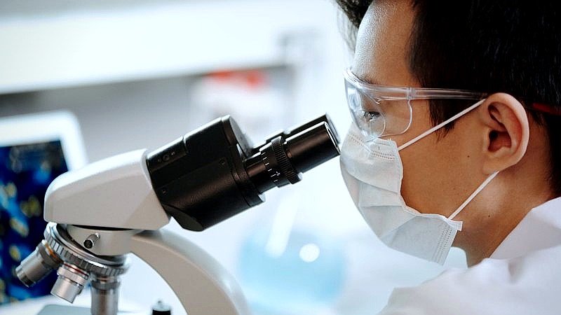 pancreatic cancer test - health article image 2