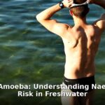 brain-eating amoeba - health article image 1