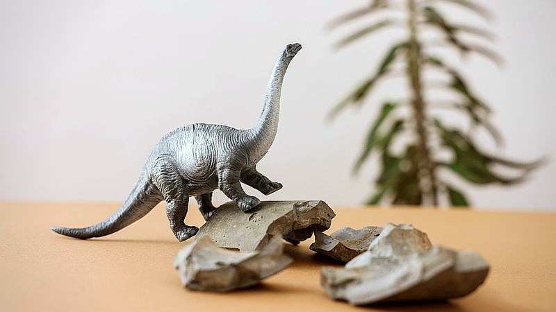 armored dinosaur identified - home improvement article image 2