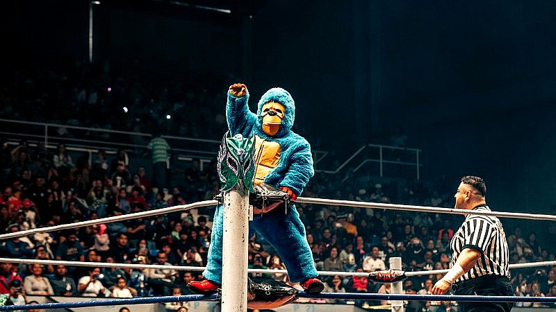 Rolly Romero vs Teofimo Lopez live results - sport article image 2