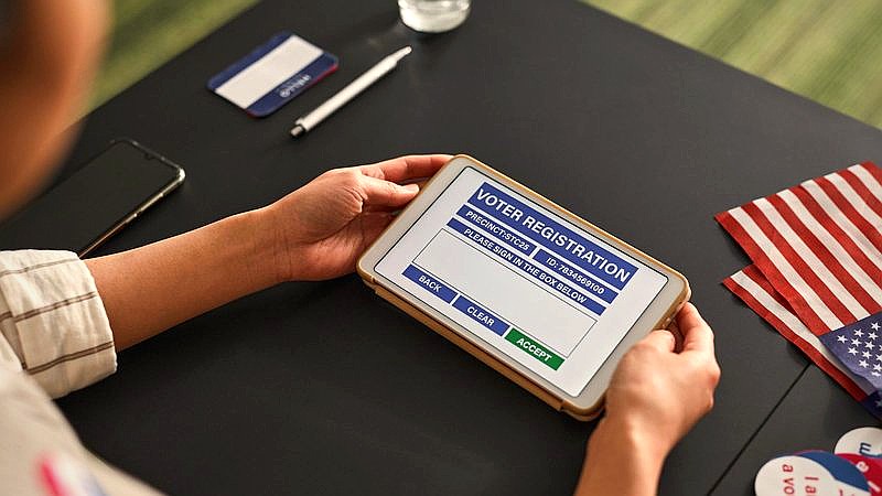 Michigan Senate primary - travel article image 2