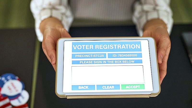Michigan Senate primary - travel article image 3