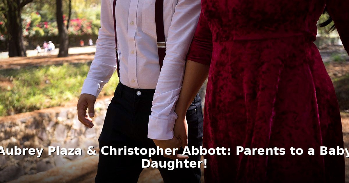 Aubrey Plaza Christopher Abbott baby - travel article image 1