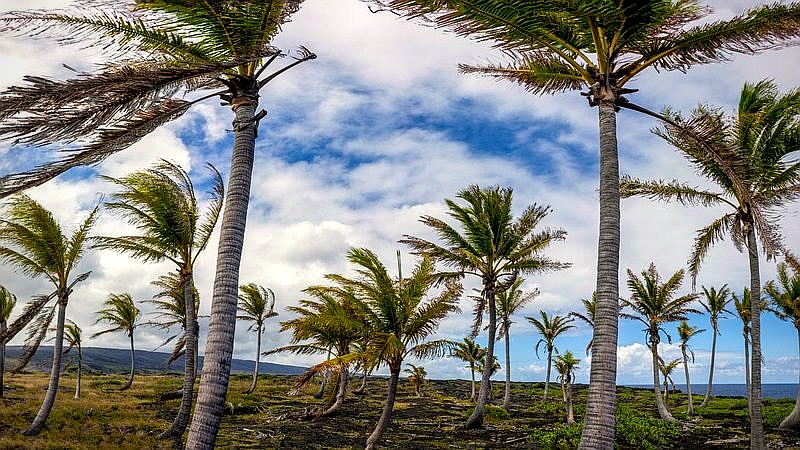 Hurricane Lala Big Island - travel article image 2