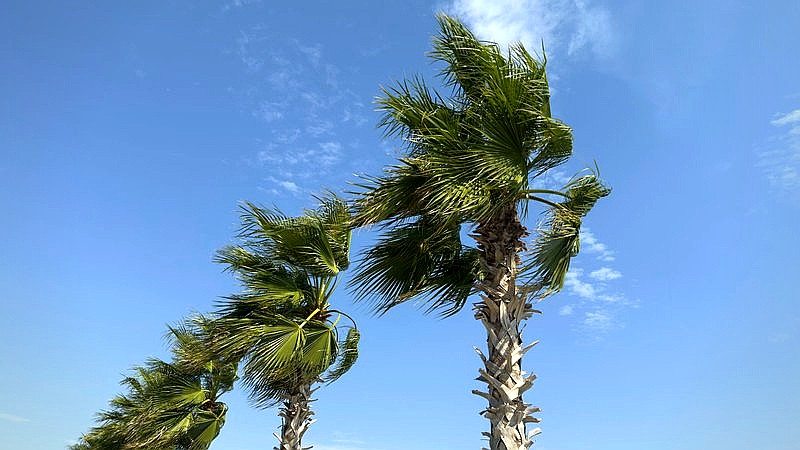 Hurricane Lala Big Island - travel article image 3