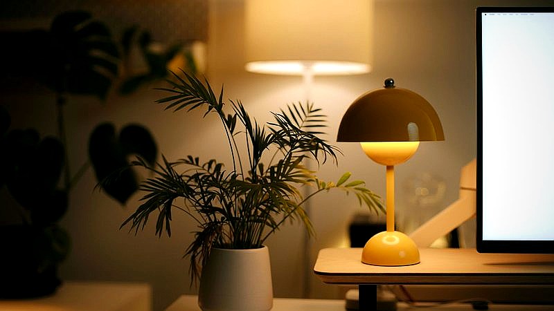 nature-inspired gaming accessories - tech article image 3